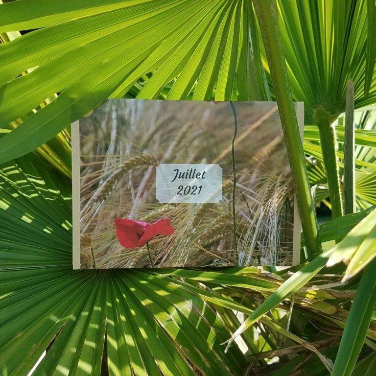 Copie de Box Juillet (1)