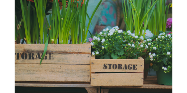 caisse en bois transformées en jardinières